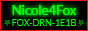 socials.nicole4fox.de